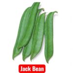 তরবারি শিম (জ্যাক বিন) বীজ | Sword Bean / Jack Bean Seeds