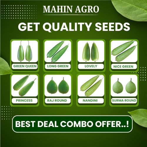 8-VARIETIES-OF-MIXED-BOTTLE-GOURD-SEEDS-2 ৮ জাতের মিক্সড লাউ বীজ | 8 Varieties Of Mixed Bottle Gourd Seeds - Image 1
