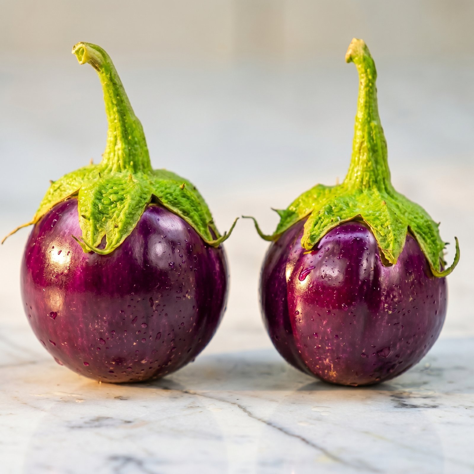 As_a_pro_image_generator_202606150653 Eggplant-থাই Purple Round Ball বীজ | Eggplant-Thai Purple Round Ball Seeds - Image 1
