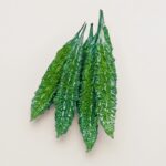 গ্রীন অ্যারো করলা বীজ | Bitter Gourd Green Arrow Seeds