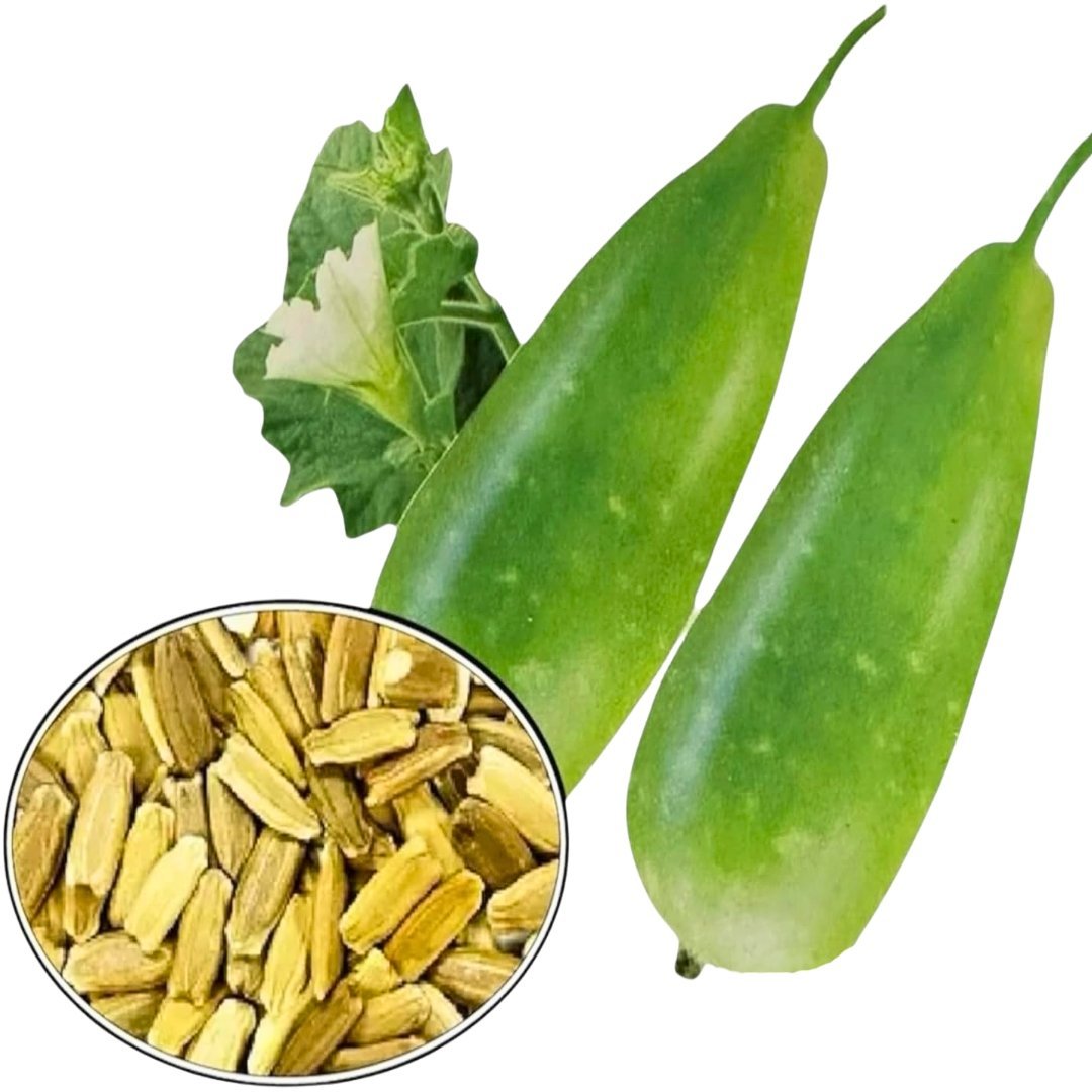 Bottle-Gourd-Lovely-Seeds-1 লাউ Lovely বীজ | Bottle Gourd Lovely Seeds – Authentic Bangladeshi Lau - Image 1