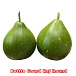 লাউ Raj Round এফ১ (F1) বীজ | Bottle Gourd Raj Round F1 Seeds