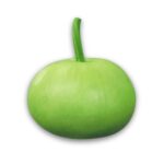 লাউ – Round Pomelo বীজ | Bottle Gourd – Round Pomelo Seeds – Non-GMO Heirloom Calabash (Lagenaria siceraria)