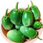 বেগুন Green Ball বীজ | Brinjal Green Ball Seeds