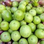 নয়নকাজল বেগুন বীজ | Noyonkajol Brinjal Seeds