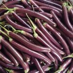 প্রফিট রাজ লম্বা বেগুন বীজ | Profit Raj Long Brinjal Seeds