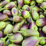 বেগুন Shayola Variety বীজ | Brinjal Shayola Variety Seeds