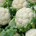 আর্লি কুইন ৪০ দিন ফুলকপি বীজ | Early Queen 40 Days Cauliflower Seeds