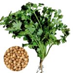 কসমস ফুল বীজ | Cosmos Flower Seeds