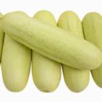 শসা White Purnima এফ১ (F1) হাইব্রিড বীজ | Cucumber White Purnima F1 Hybrid Seeds