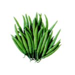 Chili Nayanmoni হাইব্রিড বীজ | Chili Nayanmoni Hybrid Seeds