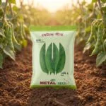 Metal_Seed_Country Bean- Bari-1-4