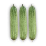 গ্রীন ম্যাজিক ব্রকলি বীজ | Green Magic Broccoli Seeds