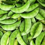 Ipsa-2 Hyacinth Bean বীজ | Ipsa-2 Hyacinth Bean Seeds –HYV Variety – Flat Green Pods – Country Bean