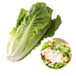Lettuce-Romaine জায়ান্ট Caesar বীজ | Lettuce-Romaine Giant Caesar Seeds