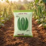 Metal_Seed_Country Bean- Bari-1-6