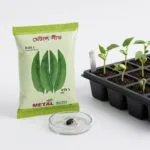 Metal_Seed_Country Bean- Bari-1-2