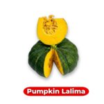 মিষ্টি কুমড়া Lalima বীজ | Pumpkin Lalima Seeds