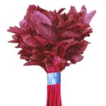 লাল শাক Rakta Karabi বীজ | Red Amaranth Rakta Karabi Seeds – Bangladeshi Lal Shak