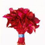লাল শাক (Lal Shak) Altapeti বীজ | Red Amaranth (Lal Shak) Altapeti Seeds