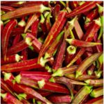 Red Burgundy ঢেঁড়স বীজ | Red Burgundy Okra Seeds (Abelmoschus esculentus) – Organic Non-GMO Heirloom Red Okra for Home Garden