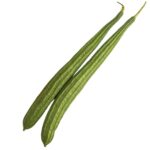 ঝিঙে Bumper হাইব্রিড বীজ | Ridge Gourd Bumper Hybrid Seeds