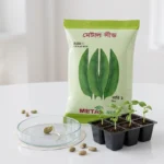 Metal_Seed_Country Bean- Bari-1-3