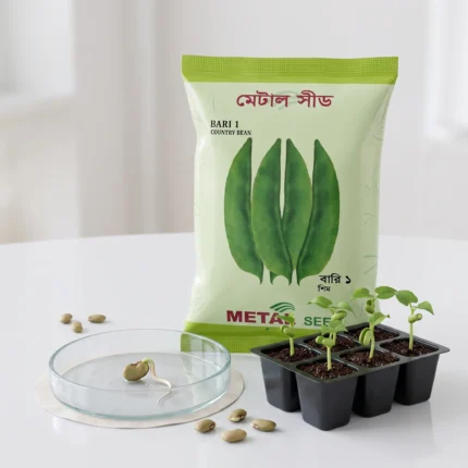 Metal_Seed_Country Bean- Bari-1-3