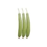 হোয়াইট অ্যাঙ্গেল ধুন্দুল বীজ | Sponge Gourd White Angle Seeds
