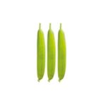 ওয়ান্ডার ধুন্দুল বীজ | Sponge Gourd Wonder Seeds