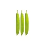 Wonder ধুন্দুল বীজ | Sponge Gourd Seeds