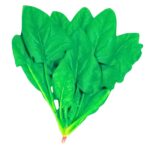 থাই ড্রাগন পালং শাক বীজ | Thai Dragon Spinach Seeds