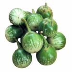 থাই রাউন্ড গোল বেগুন বীজ | Thai Round Green Eggplant Seeds