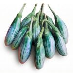 থাই রাগবি বেগুন বীজ | Thai Rugby Striped Eggplant Seeds
