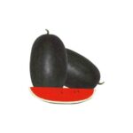 ব্ল্যাক বয় তরমুজ বীজ | Black Boy Watermelon Seeds