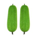 তাজ হাইব্রিড চালকুমড়া বীজ | Taj Hybrid Wax Gourd Seeds