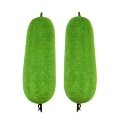 Taj (2462) চালকুমড়া বীজ | Wax Gourd Seeds
