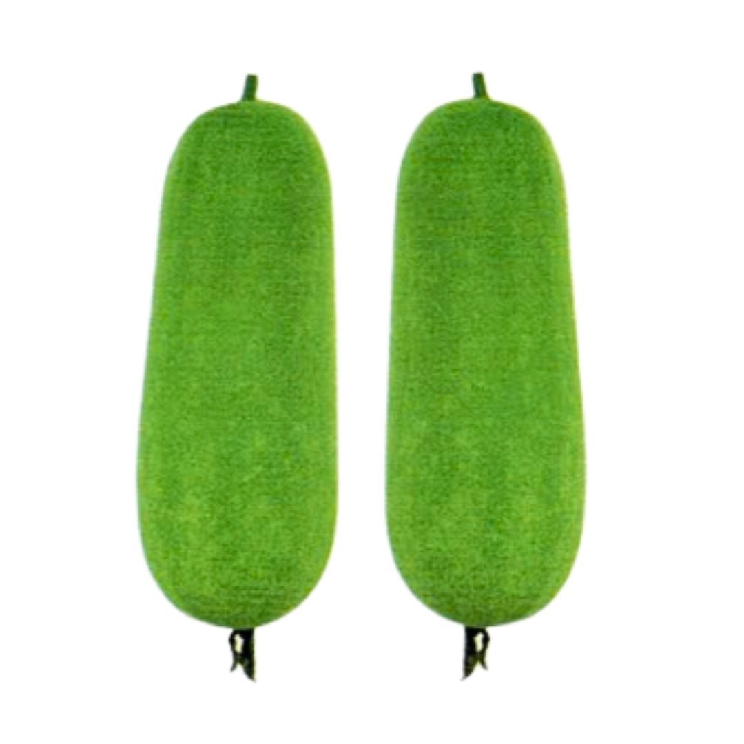 Wax-Gourd-Taj-Seeds তাজ হাইব্রিড চালকুমড়া বীজ | Taj Hybrid Wax Gourd Seeds - Image 1