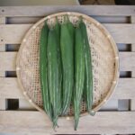 লম্বা চিচিঙ্গা বীজ | Long Snake Gourd Seeds