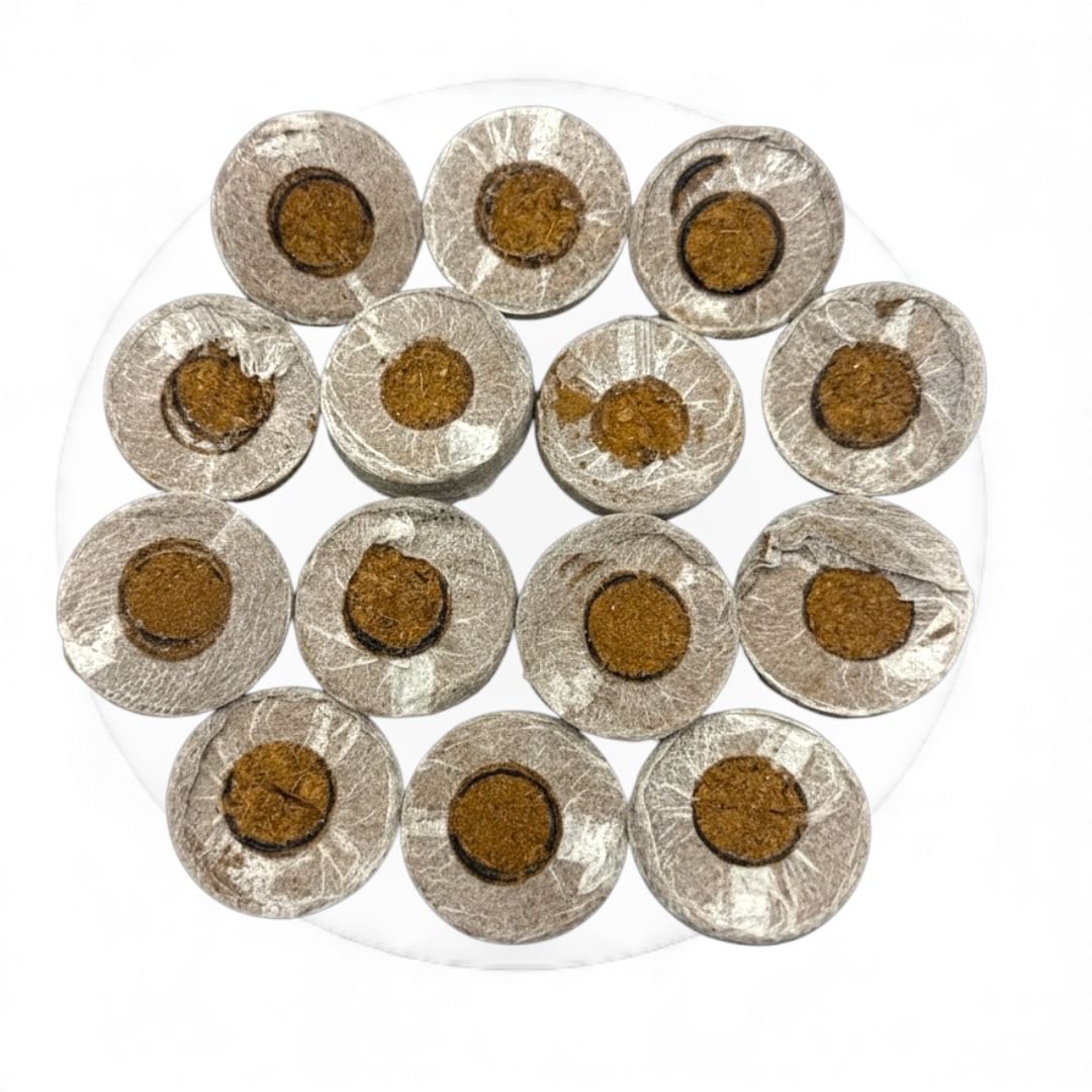 WhatsApp-Image-2025-12-09-at-20.26.04_8e17b92e Coco Coir Netted Seed Starter Pellets – Unamended বীজ | Coco Coir Netted Seed Starter Pellets – Unamended - Image 1